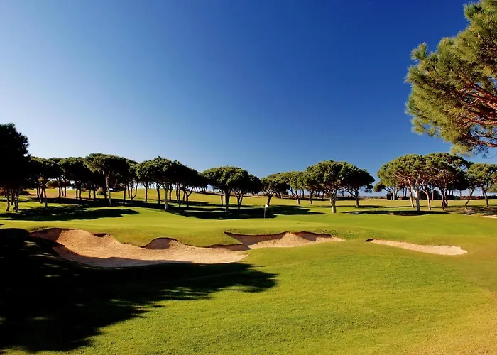 公寓 Summer Litoralmar 波尔蒂芒